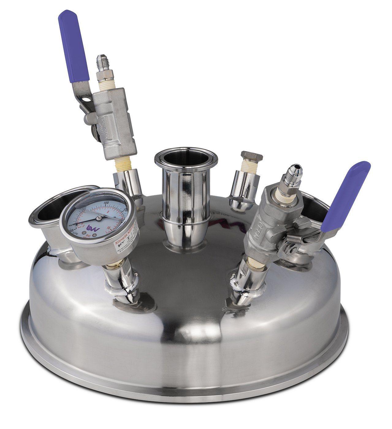 10" Pre-Built Hemispherical Lid with BVV 316SS Full Bore Valves - BVV High Desert Scientific