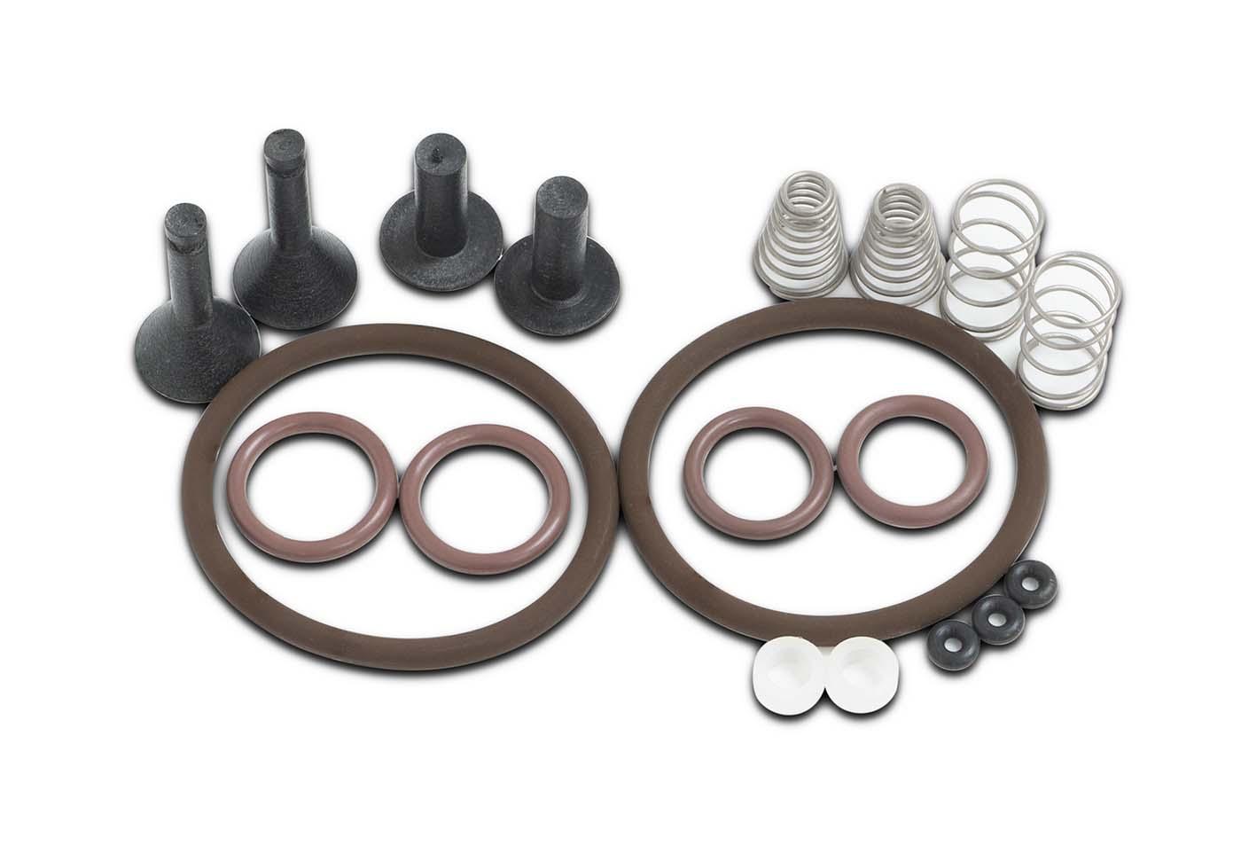TRS21 & BVV Butane Recovery Pump Valve Rebuild Kit - BVV High Desert Scientific