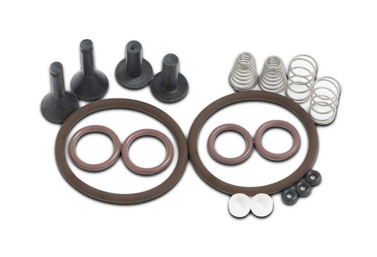 TRS21 & BVV Butane Recovery Pump Valve Rebuild Kit - BVV High Desert Scientific