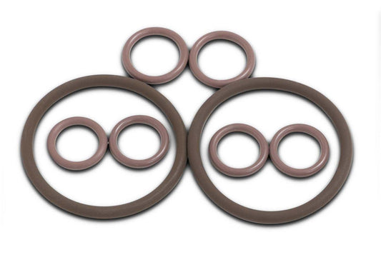 TRS21 Valve Head Complete Viton O-ring Kit - BVV High Desert Scientific