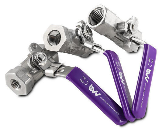 BVV™ 316SS FNPT Full Bore Ball Valve -40F to 450F - BVV High Desert Scientific