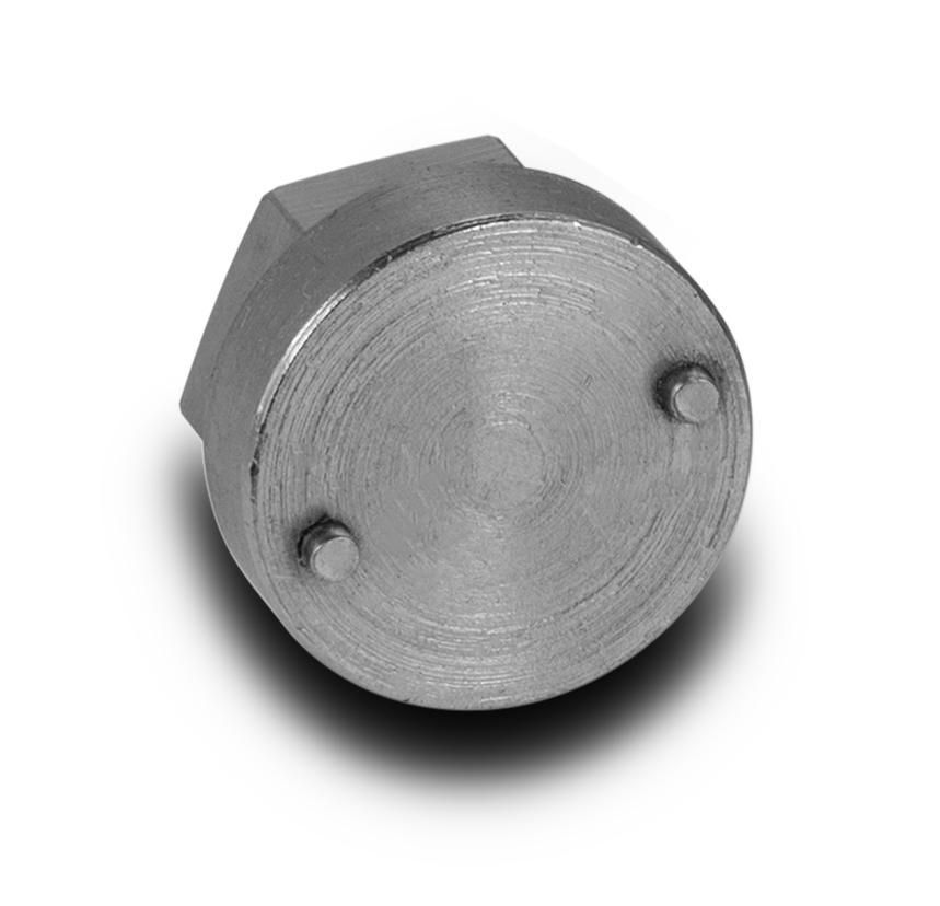 TRS21 2 Piece Piston Tool - BVV High Desert Scientific