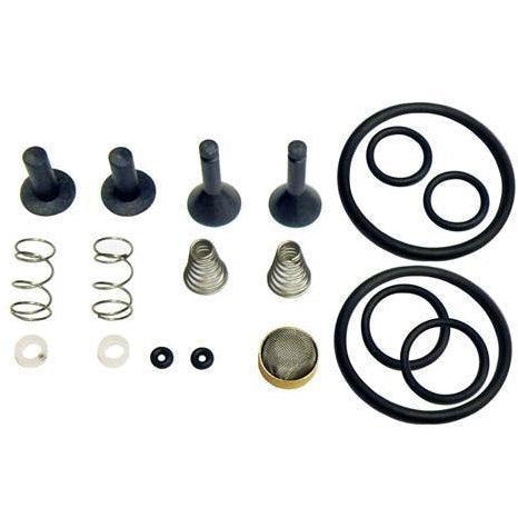 TRS21 Valve Rebuild Kit TR21X1 - CPS Products High Desert Scientific