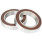 CMEP-OL Bearings - 2 Pack - CMEP High Desert Scientific