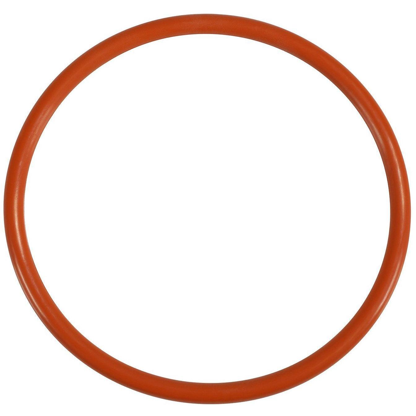 Cold Trap O-ring for Inner Vessel - BVV High Desert Scientific