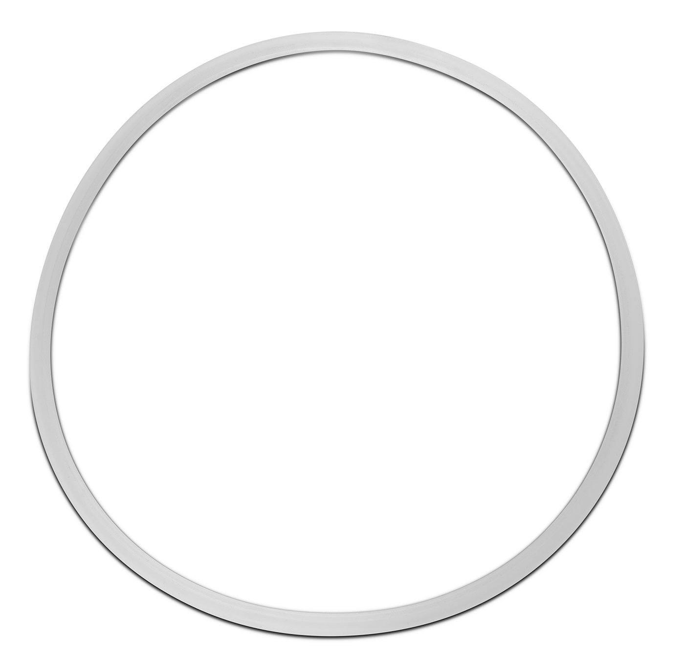 Replacement Gasket for Dutch Weave Sintered Filter Disks - Silicone - BVV High Desert Scientific